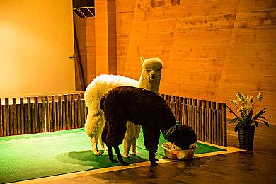 万物皆可扔！建造游戏《Overthrown》发布玩法预告